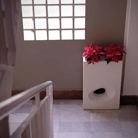 Perla Apartamento