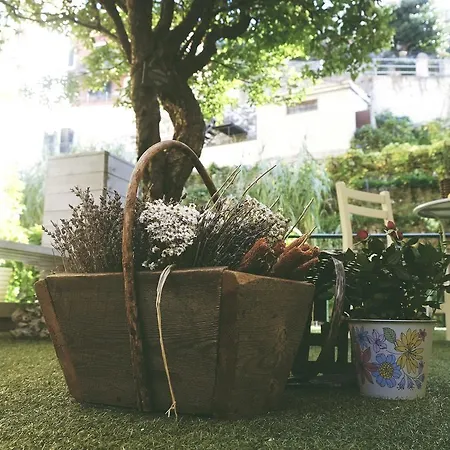 Апартаменты Perla Алассио