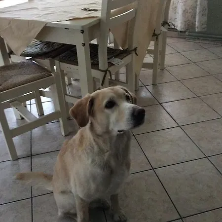 Appartamento Perla